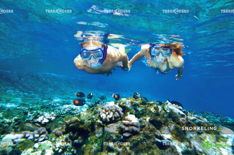 INB-1008-[Snorkeling]-01.jpg