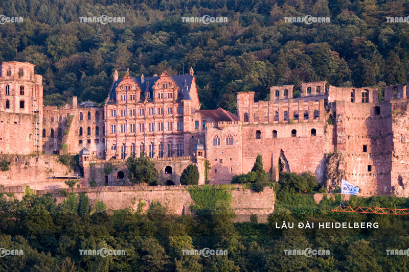 EU-313-[Lau-dai-Heidelberg]-01.jpg