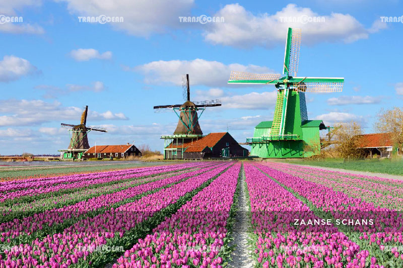 EU-329-[Zaanse-Schans]-01.jpg
