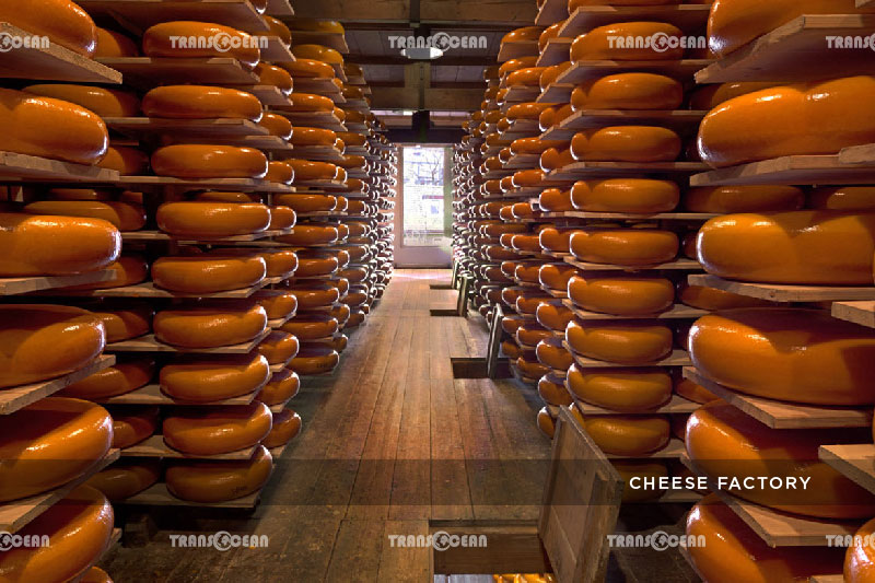 EU-330-[Cheese-Factory]-01.jpg