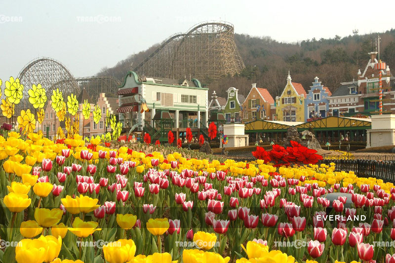 KOR-705-[Everland]-01.jpg