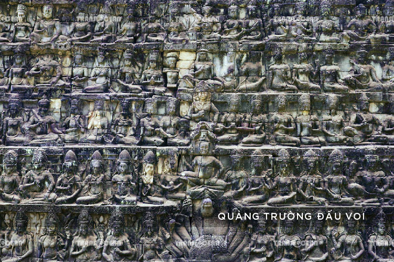 KHR-605-[Quang-truong-dau-voi]-01.jpg