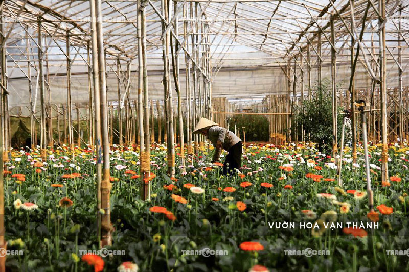 [INB]-DAL-404-[Van-Thanh]-01.jpg