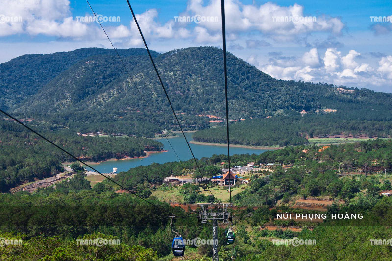[INB]-DAL-413-[Phung-Hoang]-01.jpg