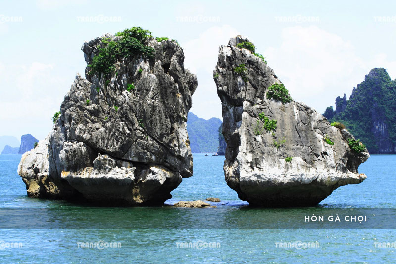 [INB]-MB-1219-[Hon-Ga-Choi]-01.jpg