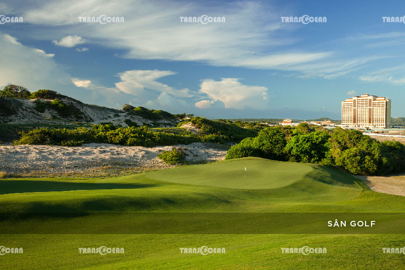 [INB]-VT-105-[San-Golf]-01.jpg