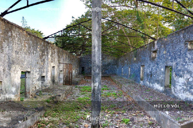 [INB]-VT-201-[Mui-Lo-Voi]-01.jpg