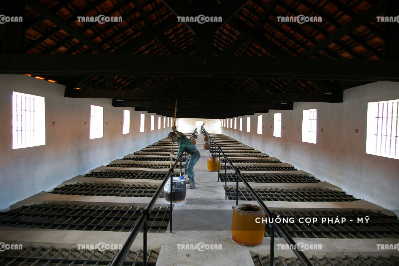 [INB]-VT-208-[Chuong-Cop]-01.jpg