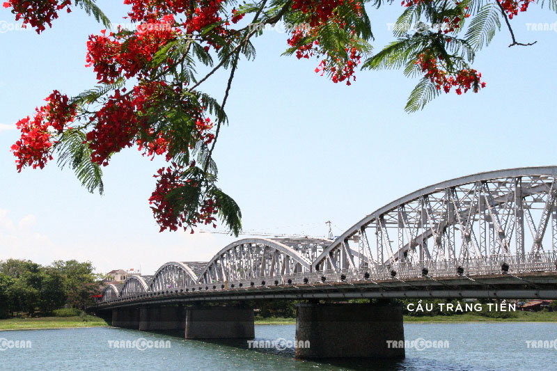 [INB]-MT-627-[Trang-Tien]-01.jpg