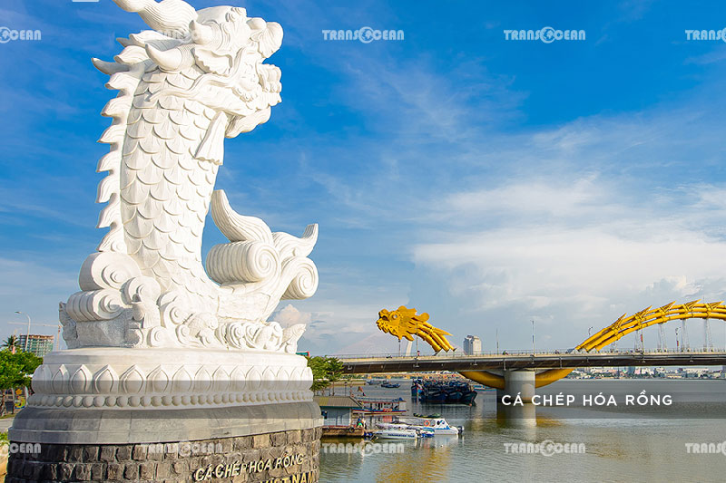[INB]-MT-1208-[Ca-Chep-Hoa-Rong]-01.jpg