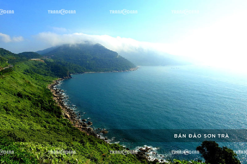 [INB]-MT-402-[Ban-Dao-Son-Tra]-01.jpg