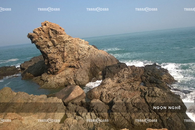 [INB]-MT-403-[Ngon-Nghe]-01.jpg