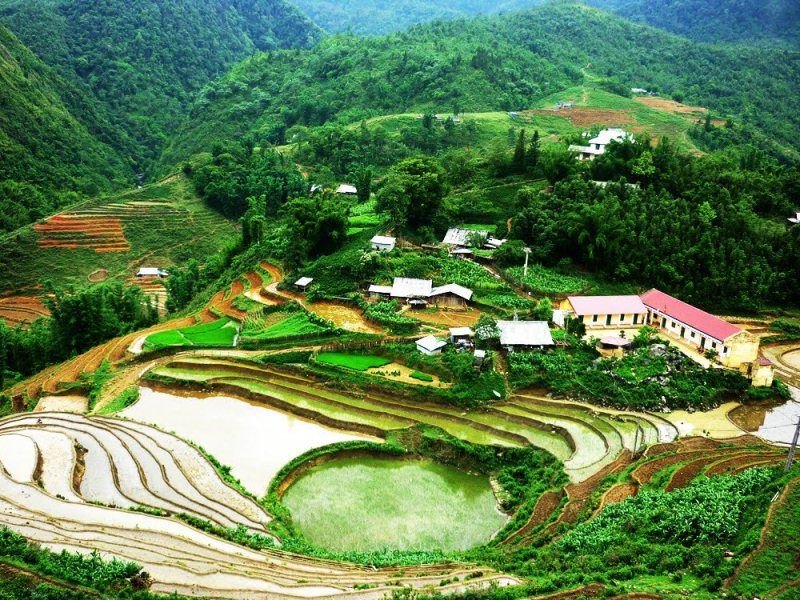 Sapa - Cát Cát - Hàm Rồng - Fansipan 3N2Đ