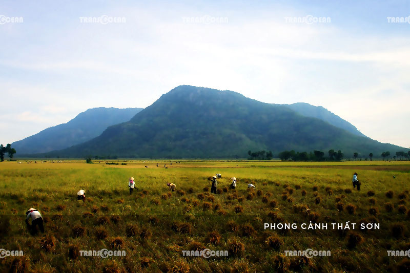 [INB]-MTa-308-[Phong-Canh-That-Son]-01.jpg