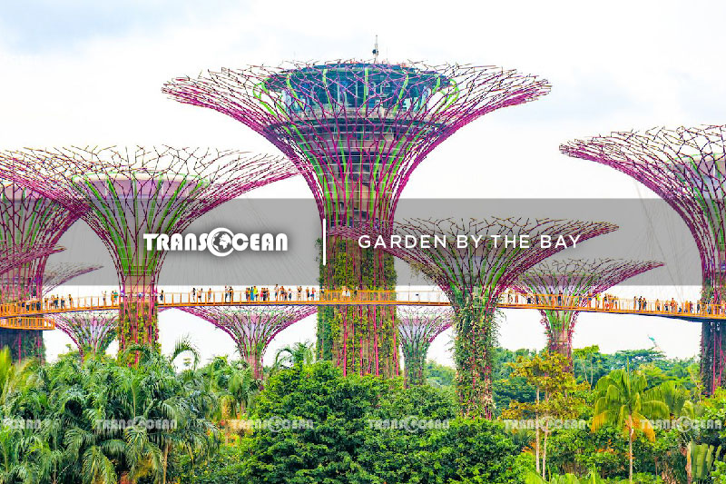 SGP---MYS-602-[Garden-by-the-bay]-01.jpg