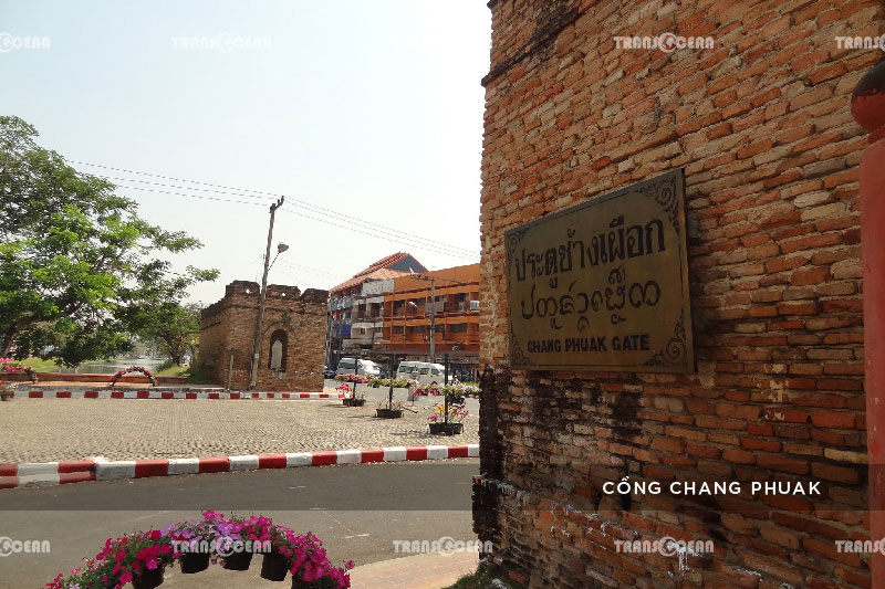 THA-914-[Chang-Phuak]-01.jpg