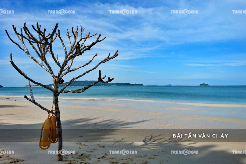 [INB]-MB-2206-[Bai-Tam-Van-Chay]-01.jpg