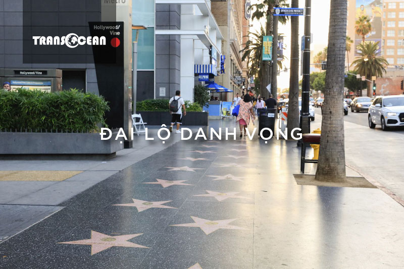 bo-tay-hoa-ky-los-angeles-las-vegas-7n6d9-min.jpg