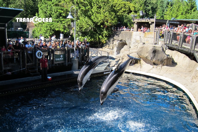 CAN 13 [Vancouver Aquarium]-01-min.jpg