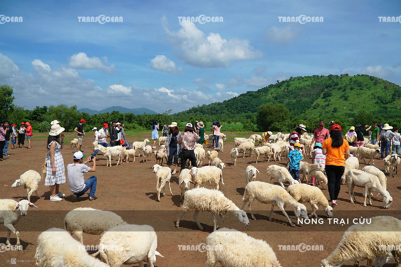 [INB]-VT-601-[Nong-Trai-Cuu]-01.jpg