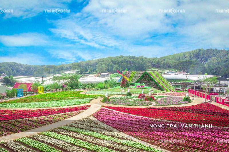 [INB]-DAL-507-[Nong-Trai-Van-Thanh]-01.jpg