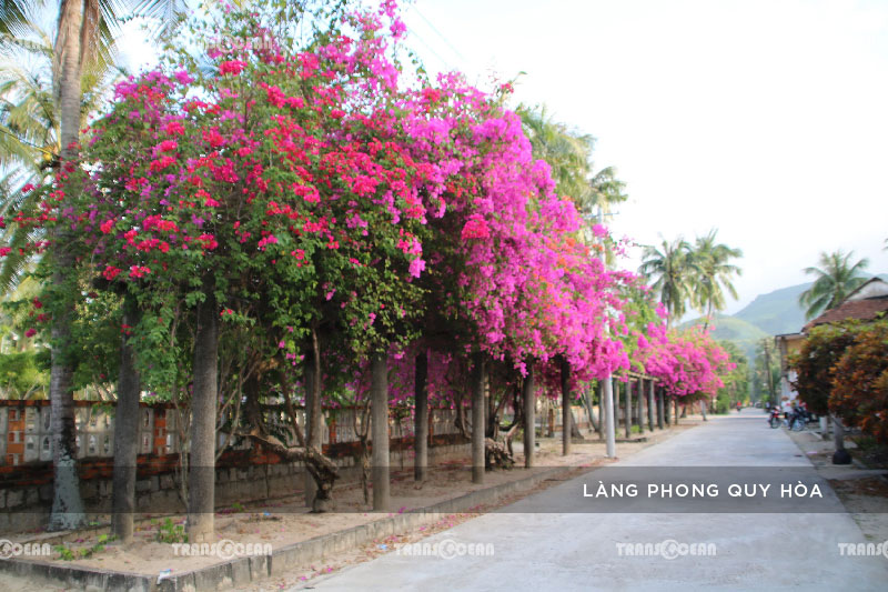 [INB]-NTB-204-[Lang-Phong]-01.jpg