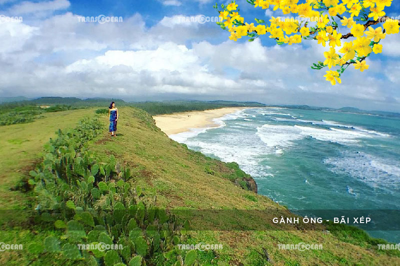 [INB]-NTB-503-[Ganh-Xep]-01.jpg