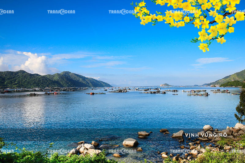 [INB]-NTB-505-[Vinh-Vung-Ro]-01.jpg