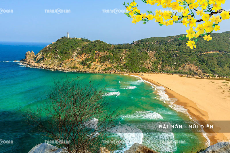 [INB]-NTB-506-[Bai-Mon---Mui-Dien]-01.jpg
