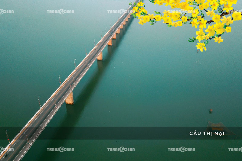 [INB]-NTB-507-[Cau-Thi-Nai]-01.jpg