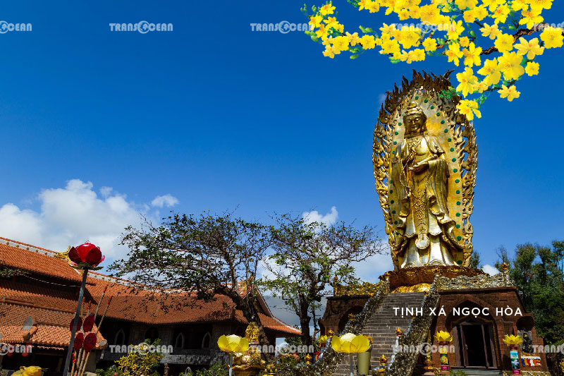 [INB]-NTB-510-[Tinh-Xa-Ngoc-Hoa]-01.jpg