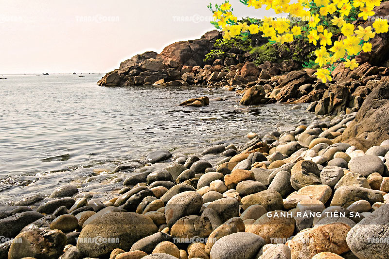 [INB]-NTB-512-[Ganh-Rang-Tien-Sa]-01.jpg