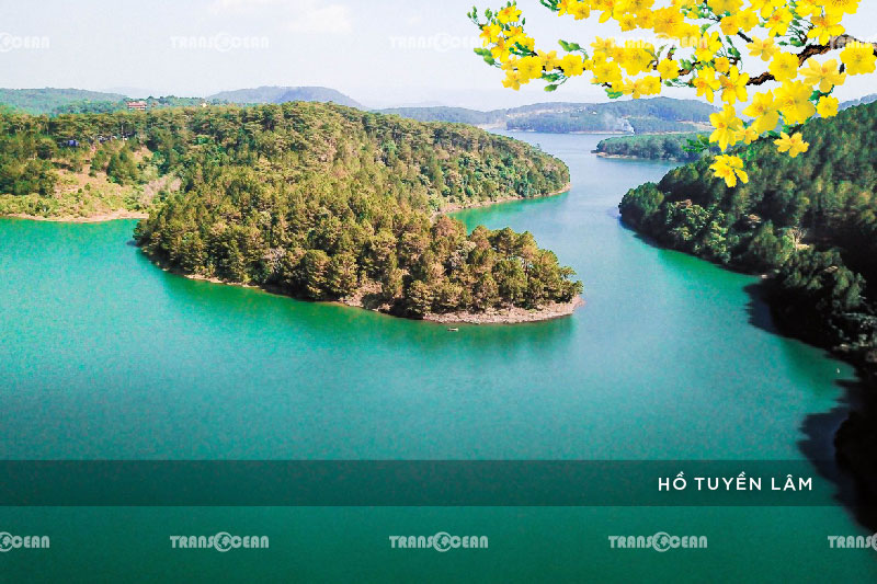 [INB]-DAL-602-[Ho-Tuyen-Lam]-01.jpg