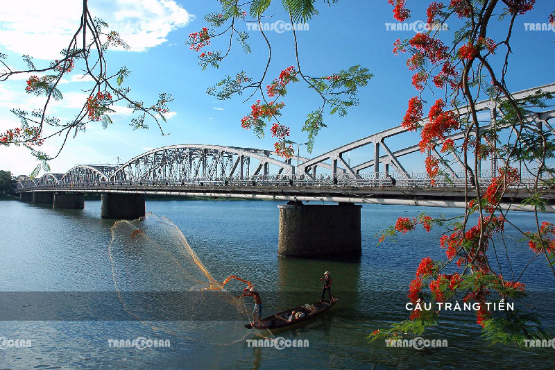 CAU TRANG TIEN.jpg
