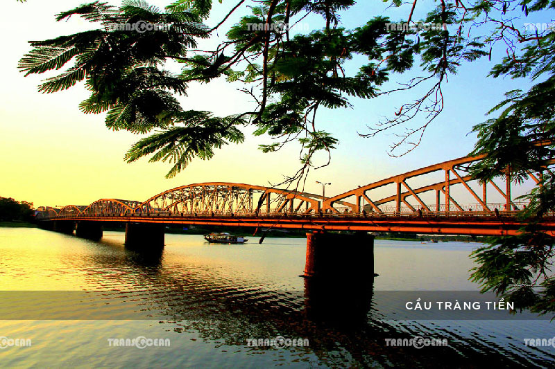 TRANG TIEN.jpg