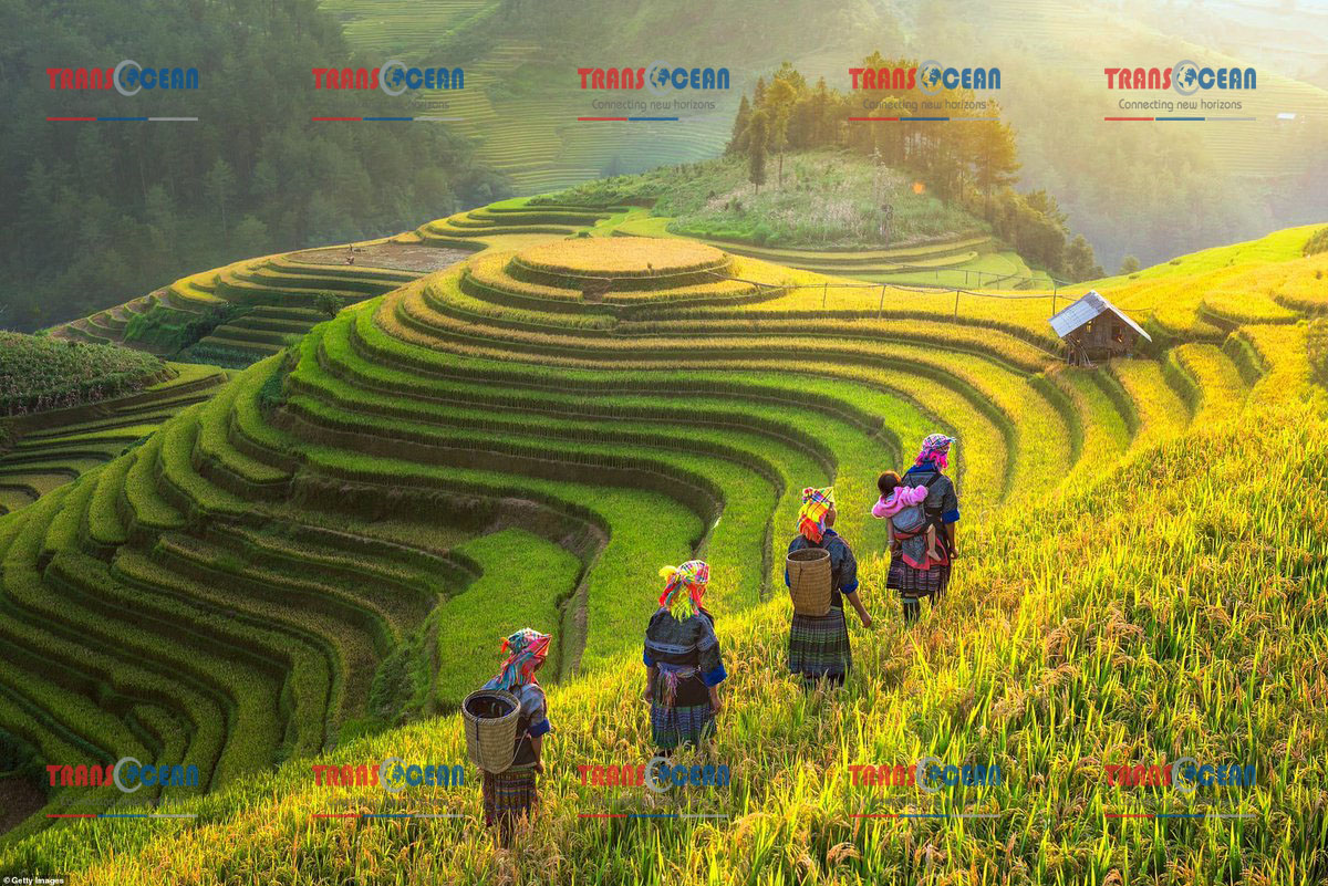 sapa (6)jpg.jpg