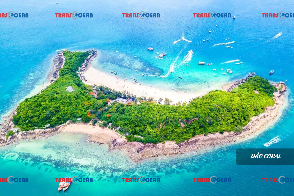 Đảo Coral.jpg
