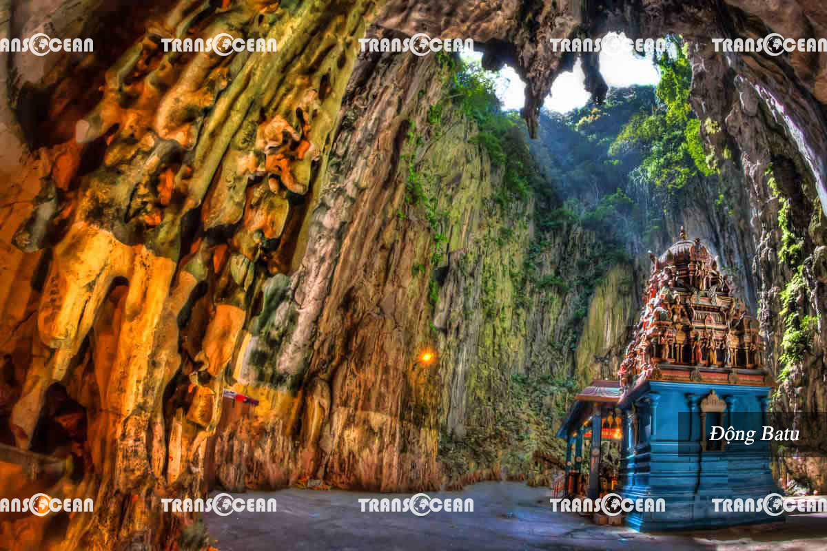 động batu.jpg