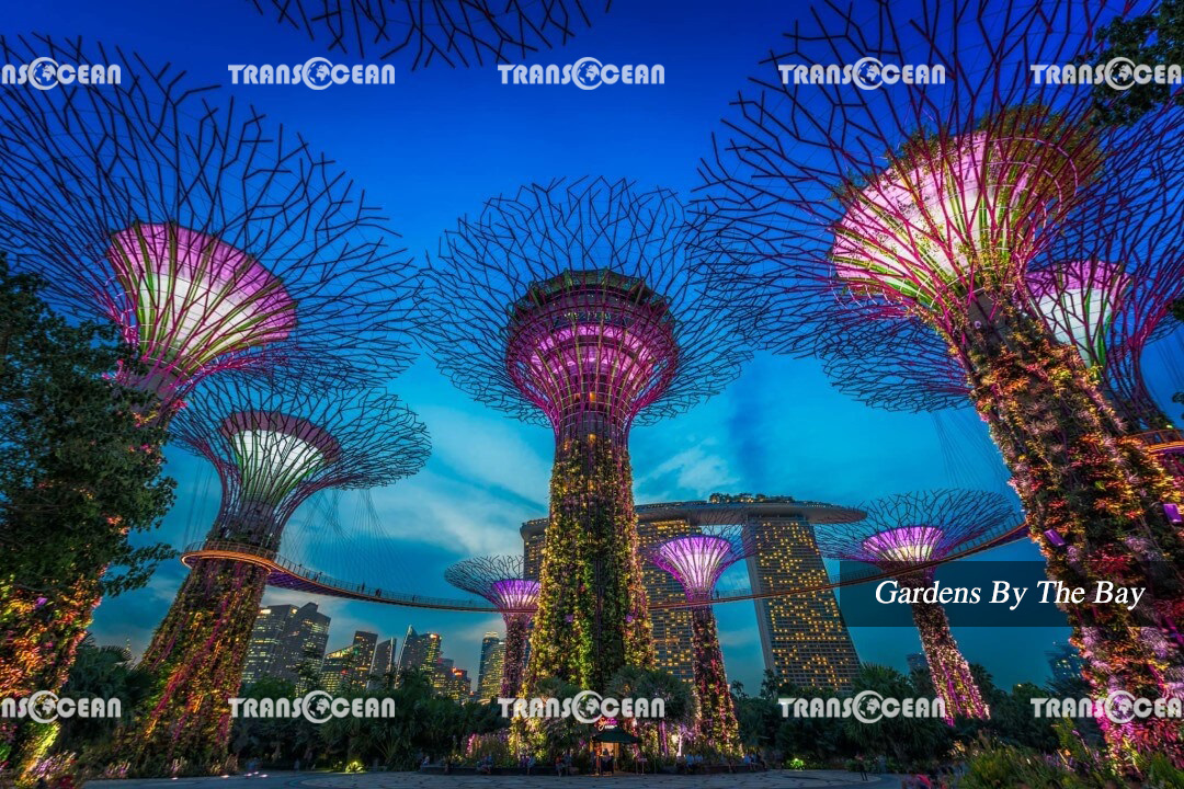 gardens by the bay.jpg
