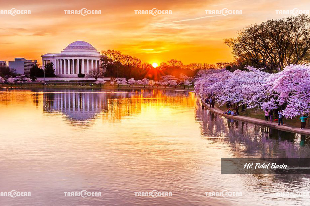 Hồ Tidal Basin.jpg