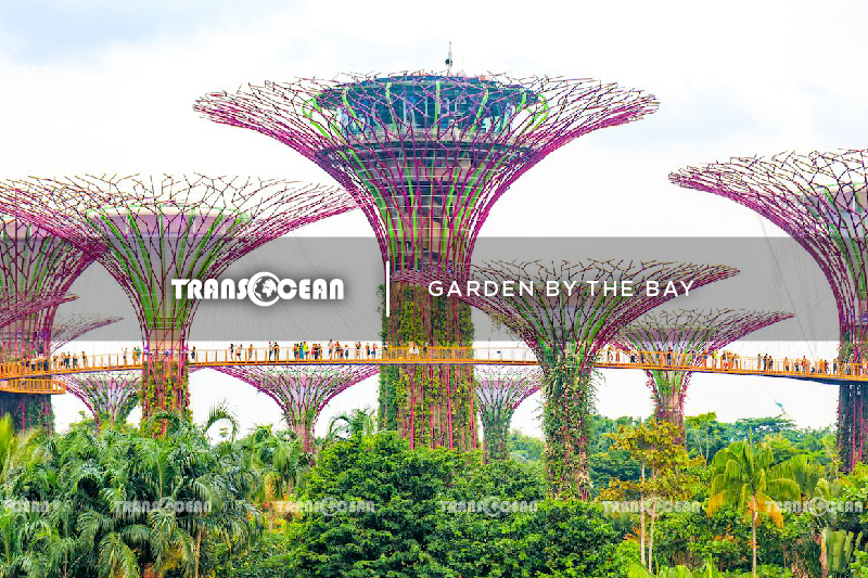 Garden by the bay.jpg