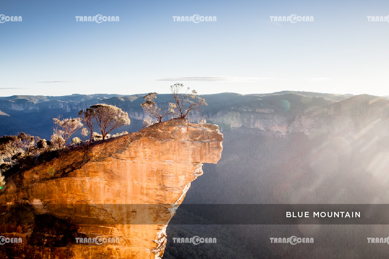Blue Mountain.jfif