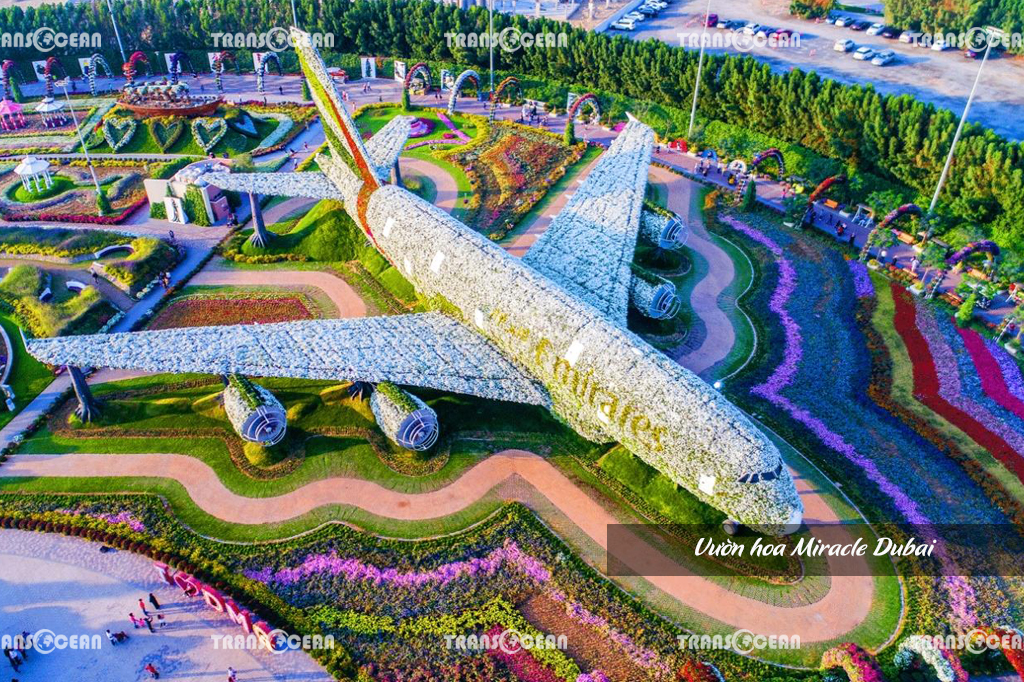 Vườn hoa Miracle Dubai.jpg