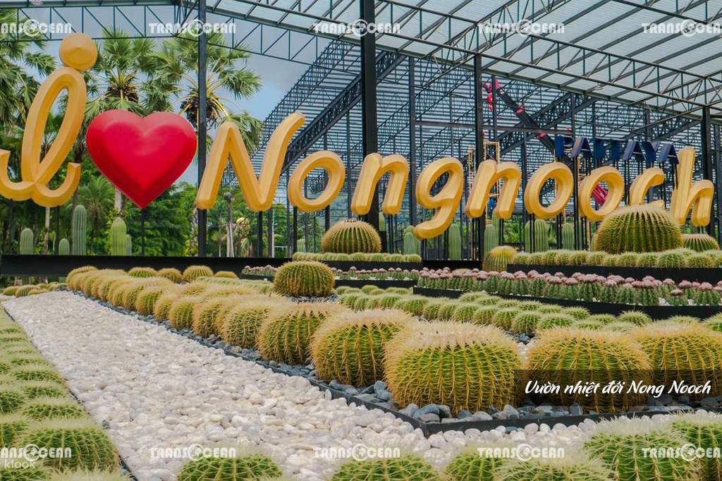 Vườn nhiệt đới Nong Nooch (2).jpg